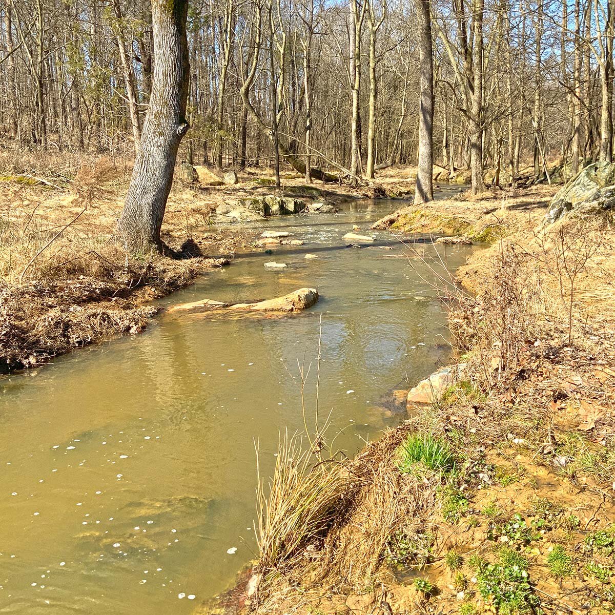 South Fork Conservation Mitigation Easement 6969